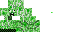 Texture for CREEPER