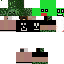 Texture for steve