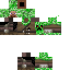 Texture for SteveCreeper
