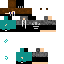 Texture for steve