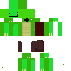 Texture for Turtul