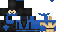 Texture for ninja