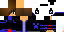 Texture for Steve
