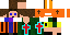 Texture for robin