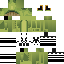 Texture for froggy