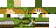 Texture for Link