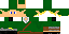 Texture for Link