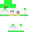 Texture for turtle