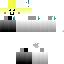 Texture for birb