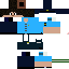 Texture for 警察