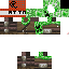 Texture for Mr Creeper