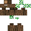 Texture for Tree