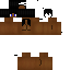 Texture for nim