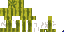 Texture for Melon