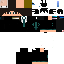 Texture for H1