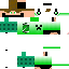 Texture for ZERIT1