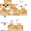 Texture for sh