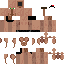 Texture for zShizu