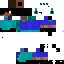 Texture for LUCAS