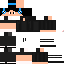 Texture for wuidyp class