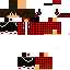 Texture for DIS
