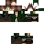 Texture for 11 elfle jene