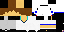 Texture for blender
