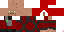 Texture for Mario_kongo