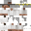 Texture for Overlay