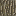 Texture for oak log