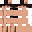 Texture for fvcs