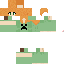 Texture for alex
