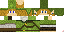 Texture for Link