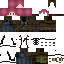 Texture for Casual MAILMAN