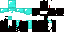 Texture for ninja