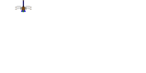 Texture for Стрекоза