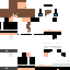 Texture for Toro Link