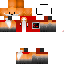 Texture for test