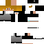 Texture for igor