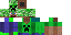 Texture for creeper steve