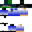 Texture for Diddi
