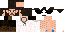 Texture for Logan
