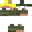 Texture for The_ZIM_
