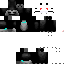 Texture for DENIS