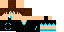 Texture for CWD