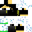 Texture for 373 v1
