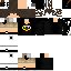Texture for FlashGamer