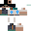 Texture for Sanesul