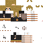 Texture for TessCat