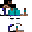 Texture for LEON12